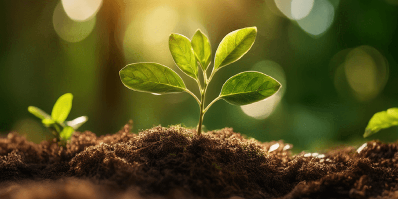 DELEM engagement environnemental